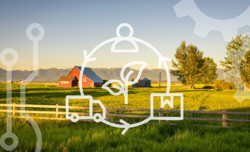 Sustainability Centred Business and Society Research Group