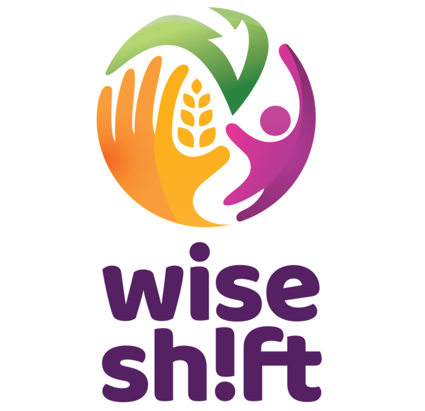 Multi-level policies and theories on how to leverage - Work Integration Social Enterprises for Inclusive and Sustainable Socio-Economic Transition