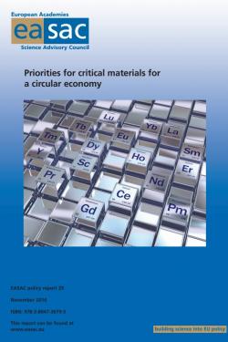 Priorities for Critical Materials for a Circular Economy